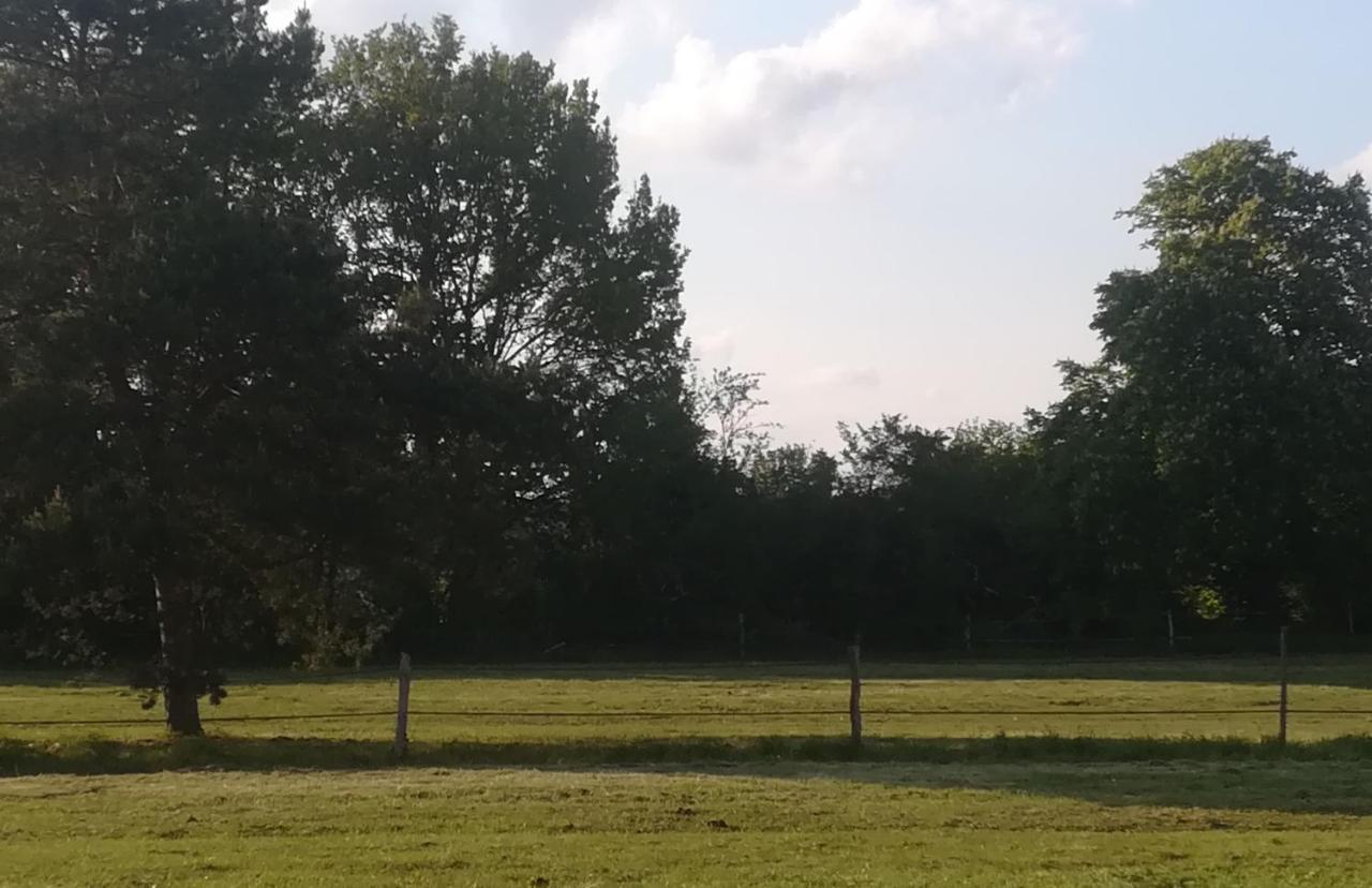 Les Pres Du Petit Morlu - Proche Beauval Villa Saint-Romain-sur-Cher Eksteriør bilde