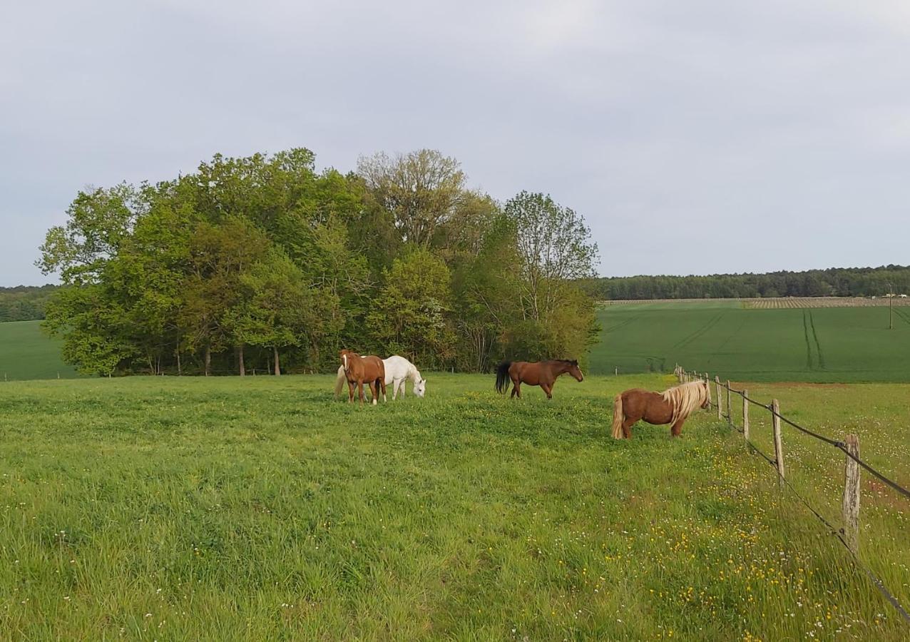 Les Pres Du Petit Morlu - Proche Beauval Villa Saint-Romain-sur-Cher Eksteriør bilde
