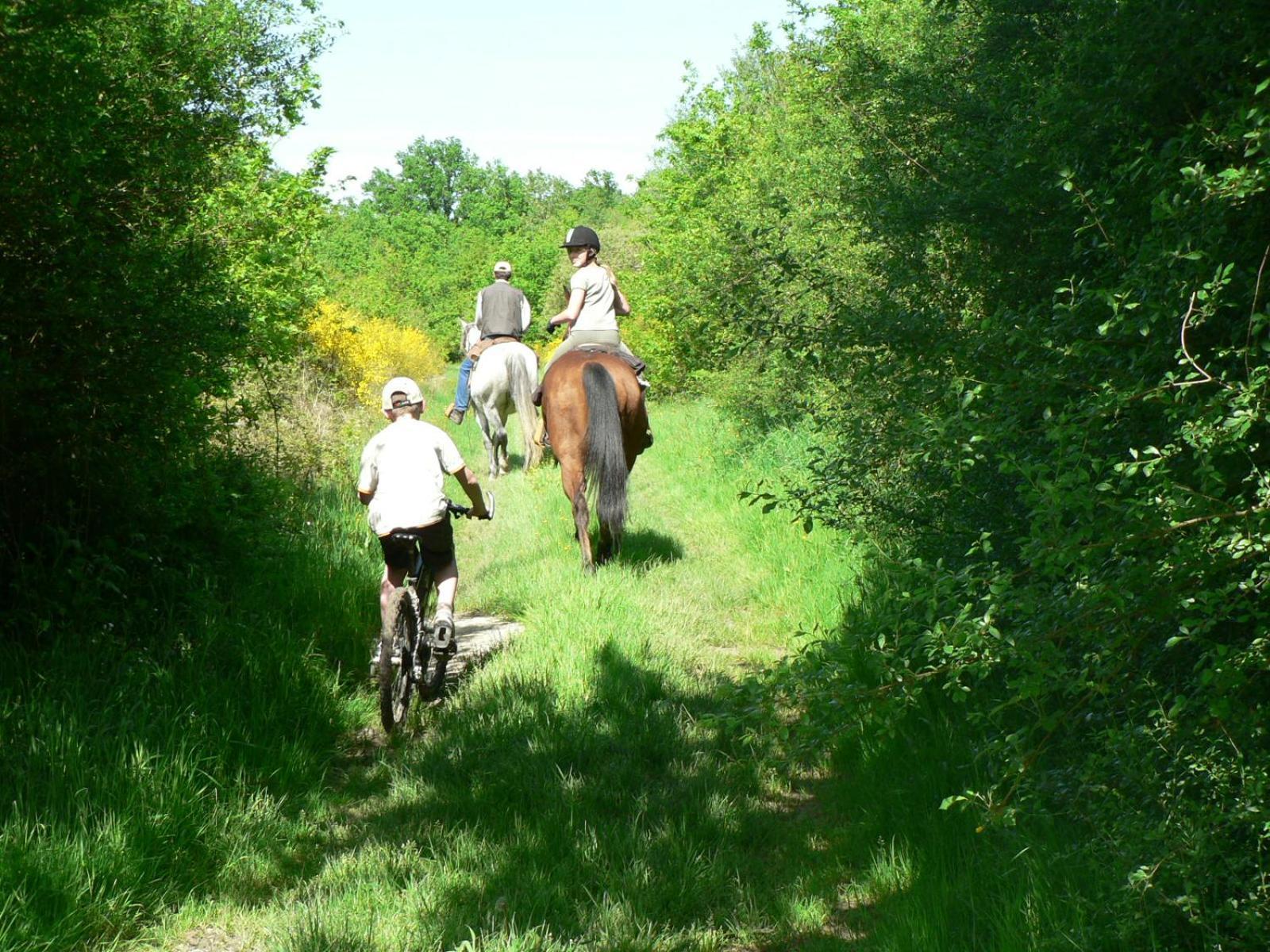 Les Pres Du Petit Morlu - Proche Beauval Villa Saint-Romain-sur-Cher Eksteriør bilde